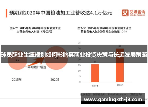 球员职业生涯规划如何影响其商业投资决策与长远发展策略