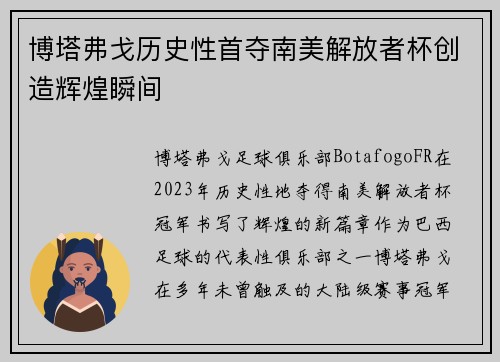 博塔弗戈历史性首夺南美解放者杯创造辉煌瞬间 博塔弗戈历史性首夺南美解放者杯创造辉煌瞬间
